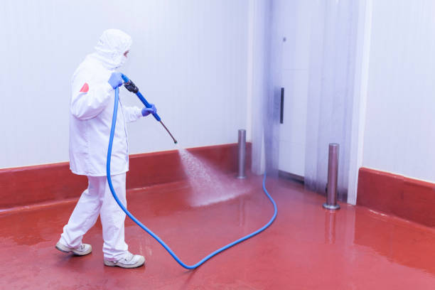 Best Winterizing Services  in , IL